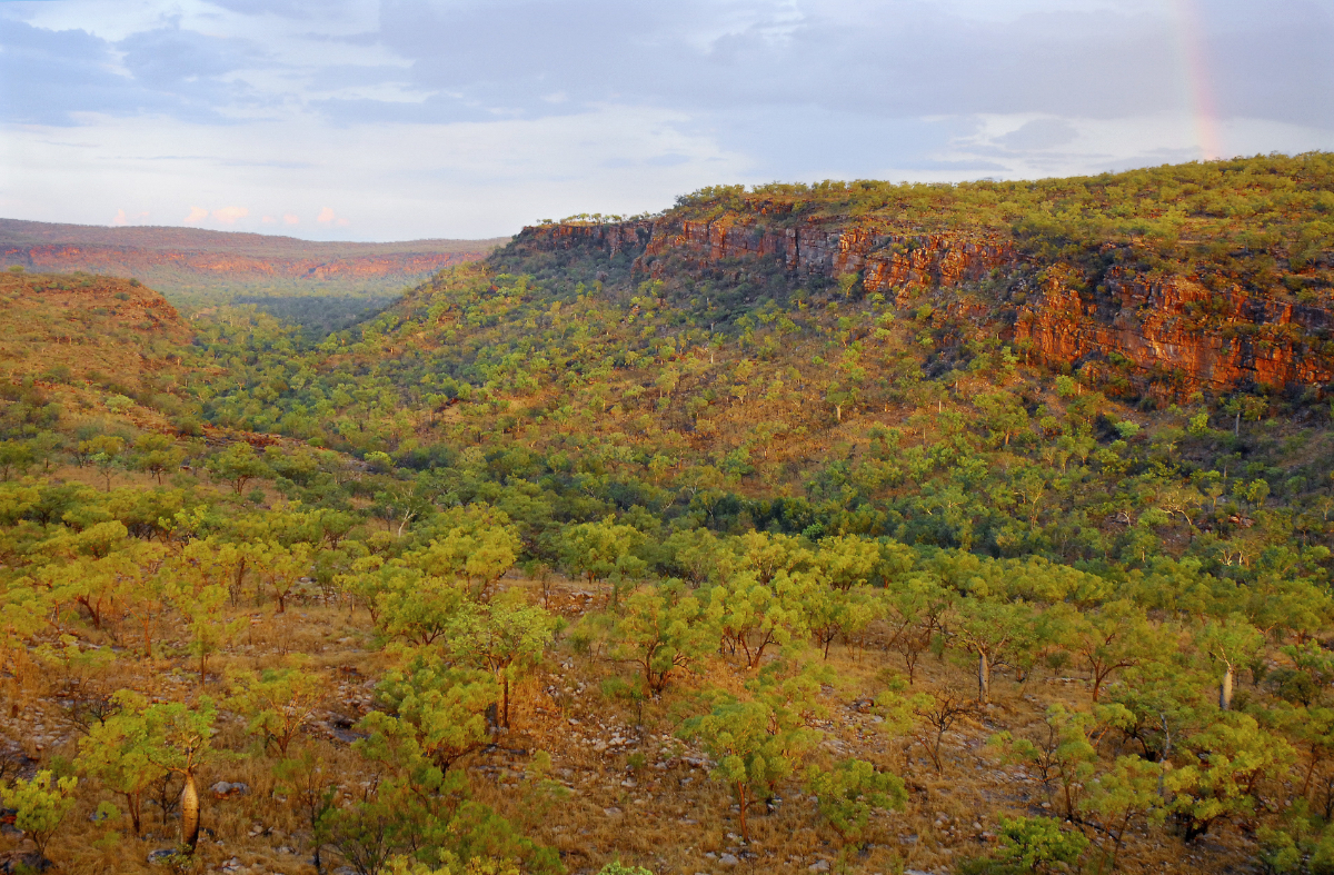 AWC has conducted some of its most important research in the Kimberley.
