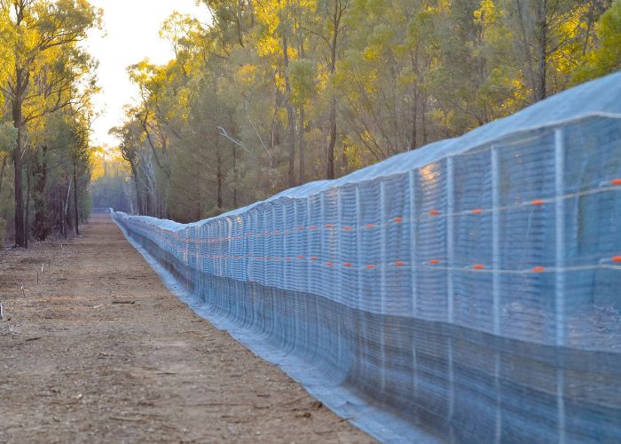 The feral predator-proof fence was constructed in the Pilliga in July 2018, to support the reintroduction of at least six mammals that have been locally extinct in the area for over a century.