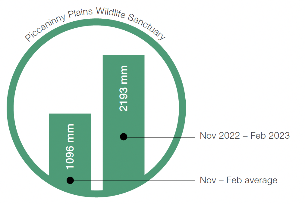 Piccaninny Plains Wildlife Sanctuary Rainfall Graph