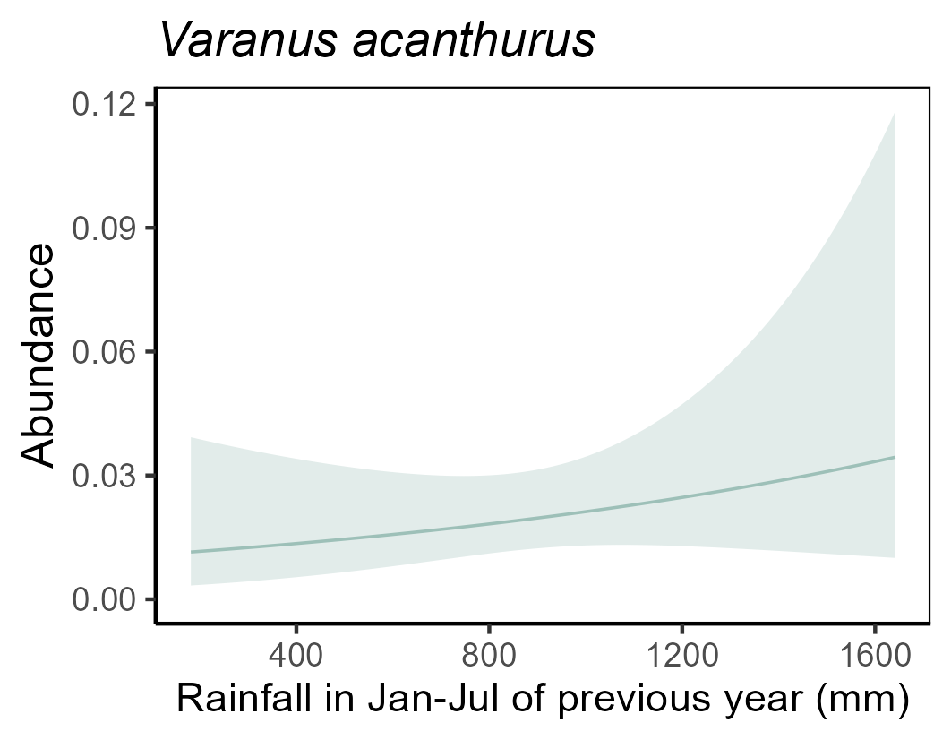 Spiny-tailed Monitor (Varanus acanthurus)