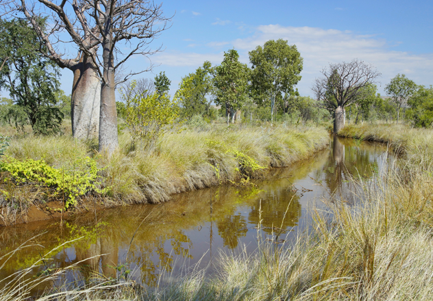 Water sources such as this one on Mornington-Marion Downs Wildlife Sanctuary are an ideal location to collect eDNA.