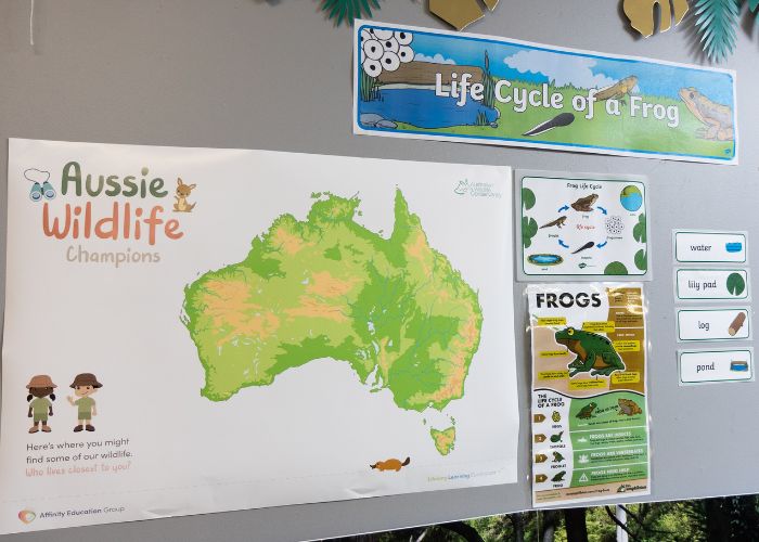 AWC teamed up with Affinity Education Group (AWC) to launch a next-gen ‘Aussie Wildlife Champions’ Education Program.