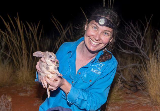 Field Ecologist Aliesha Dodson With A Greater Bilby (macrotis Lagotis) At Newhaven Wildlife Sanctuary, Nt
