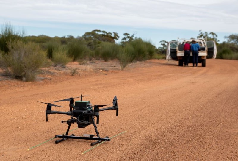 Wildlife Drones used to track Quolls at Mt Gibson